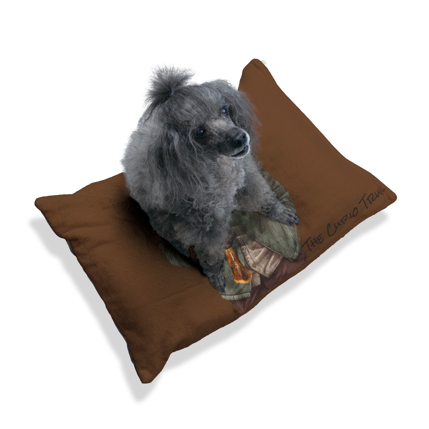 Brown Curio Trunk Pet Bed