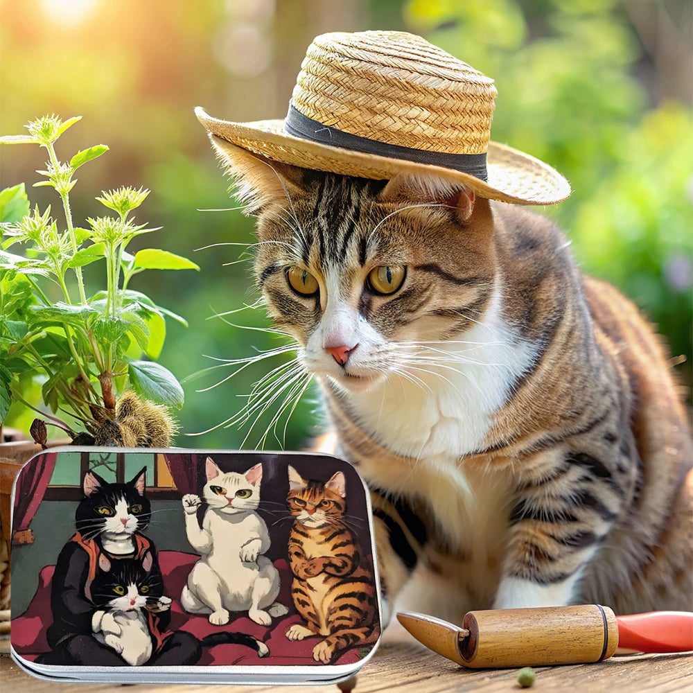 Catnip Tin with 1/3rd oz of Freshly Sealed Catnip