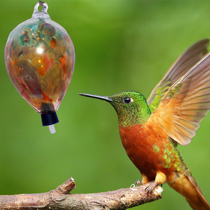 The Curio Trunk Hand Blown Hummingbird Feeders