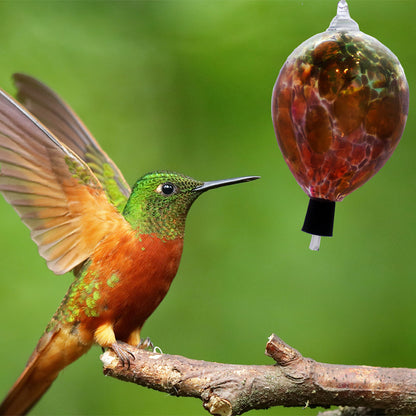 The Curio Trunk Hand Blown Hummingbird Feeders