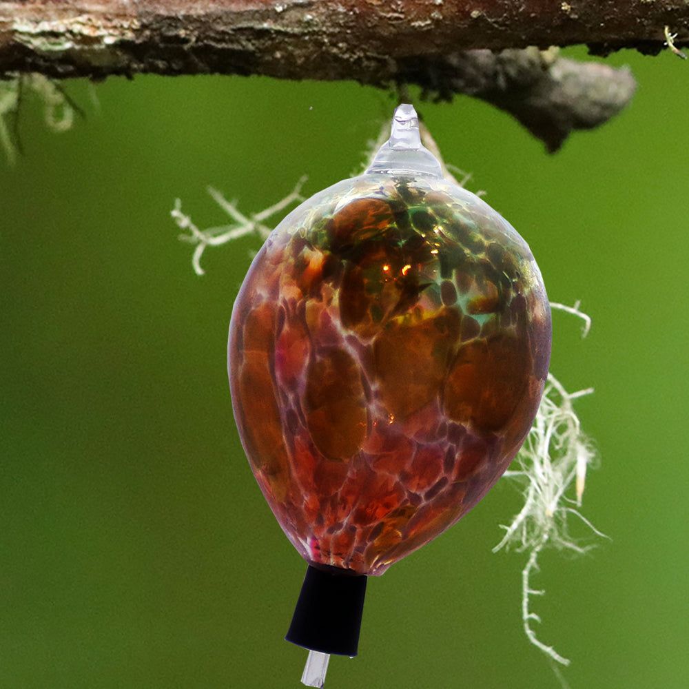 The Curio Trunk Hand Blown Hummingbird Feeders