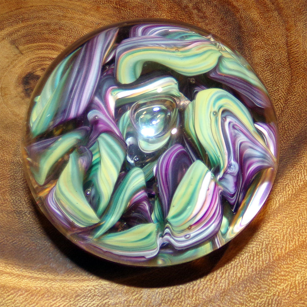 The Curio Trunk Hand Blown Glass Paper Weights