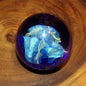 The Curio Trunk Hand Blown Glass Paper Weights