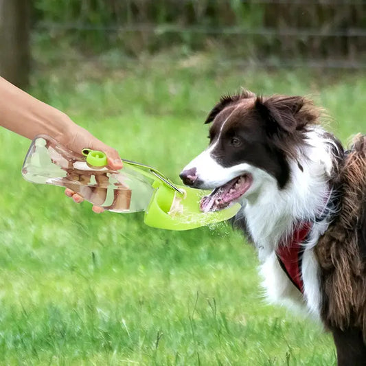 Portable Pet Hydration Station